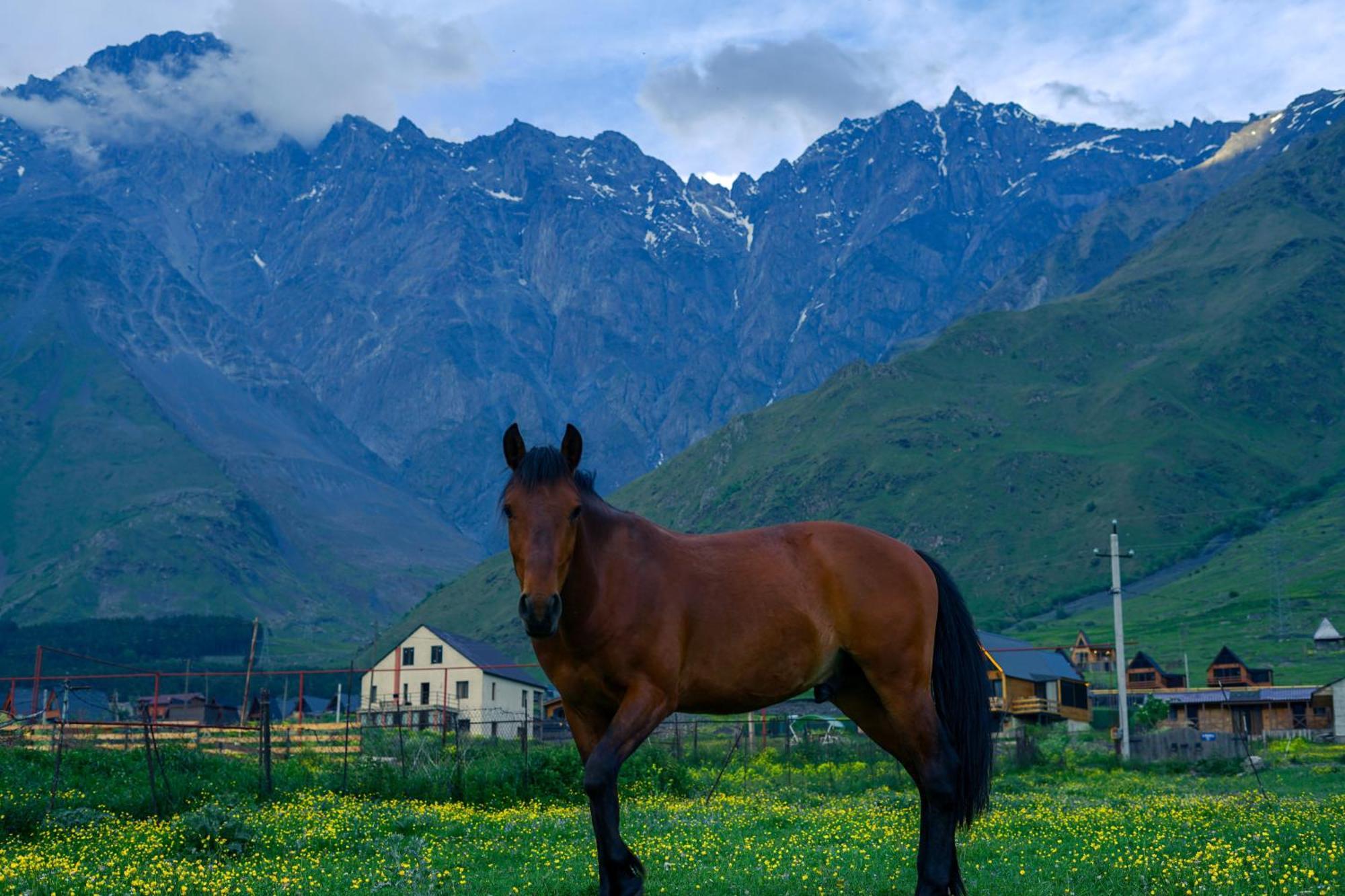 Savalley Kazbegi Екстер'єр фото